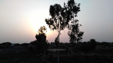 Serene Sunset Over Nature's Embrace wallpaper