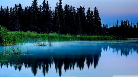 Tranquil Reflections in Nature's Embrace wallpaper