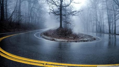 Mysterious Foggy Road in Nature wallpaper