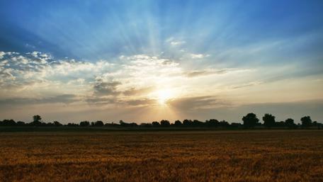Serene Sunrise Over Golden Fields wallpaper