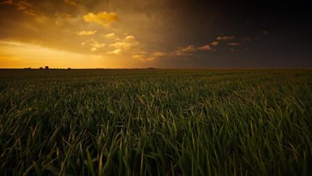Golden Hour Serenity in Nature's Embrace wallpaper