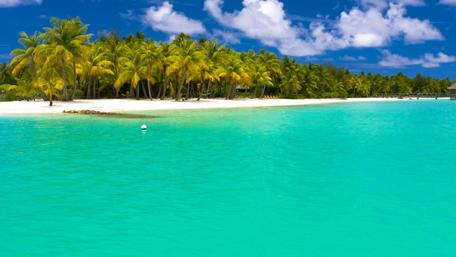 Tropical Paradise with Clear Waters and Lush Palms wallpaper