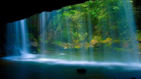 Majestic Waterfall in Sunlit Forest wallpaper