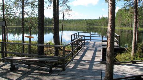 Serene Lakeside Retreat in Nature's Embrace wallpaper