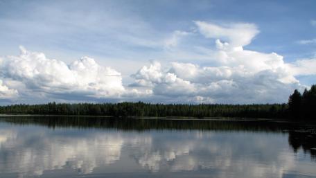 Serene Reflections of Nature's Beauty wallpaper