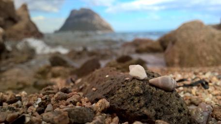 Tranquil Beach Serenity with Shells wallpaper