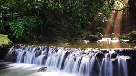 Tranquil Waterfall in Lush Green Forest wallpaper