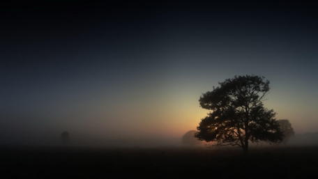 Twilight Serenity in Nature wallpaper