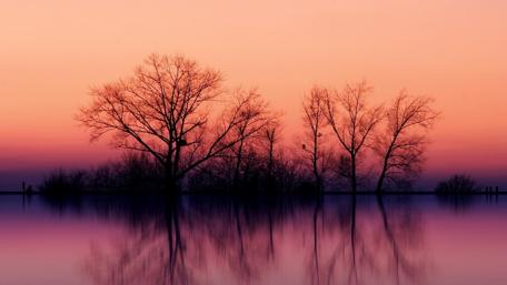 Serene Purple Reflections at Dusk wallpaper
