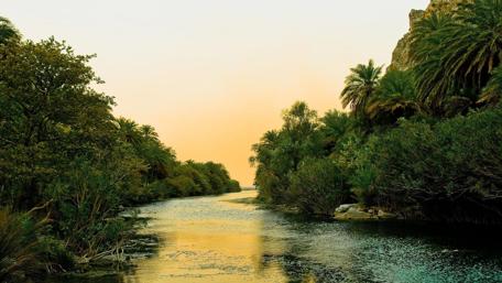 Serene River Surrounded by Lush Palm Trees in Golden Light wallpaper