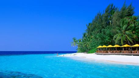 Serene Beach Bliss Awaits You wallpaper