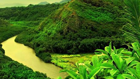 Lush Green Valleys Embracing Tranquil Waters wallpaper