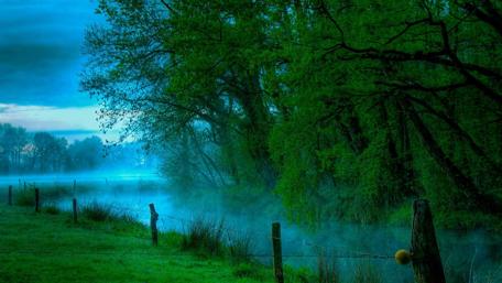 Tranquil Misty Morning in a Lush Green Landscape wallpaper