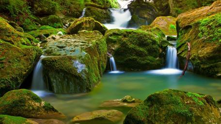 Serenity Amongst Cascading Waters wallpaper