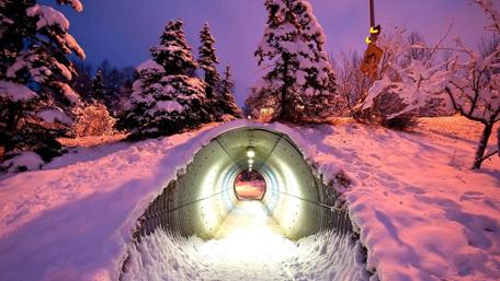 Winter Wonderland Pathway Under Snowy Boughs wallpaper