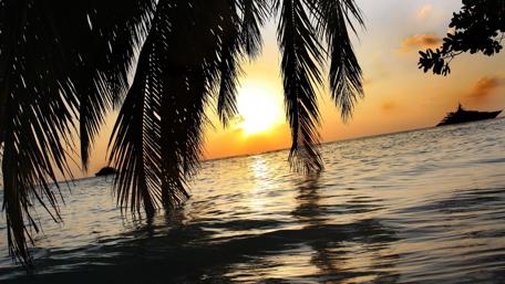 Sunset Serenity by the Sea wallpaper