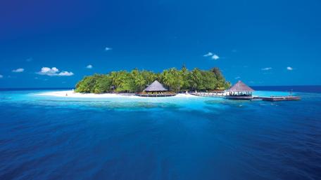 Tropical Island Escape for Summer Vibrance wallpaper