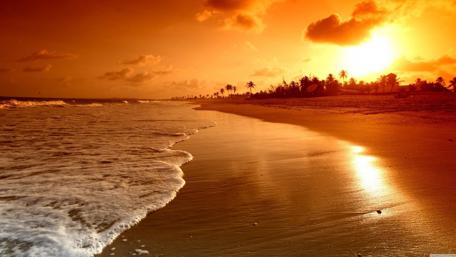 Golden Hour Serenity by the Shore wallpaper