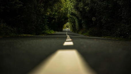Serene Road Through Lush Greenery wallpaper
