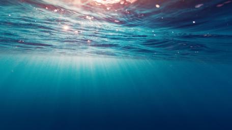 Tranquil Depths of the Ocean wallpaper
