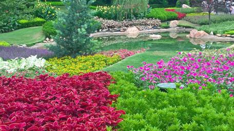 Vibrant Garden Oasis with Tranquil Water Reflection wallpaper