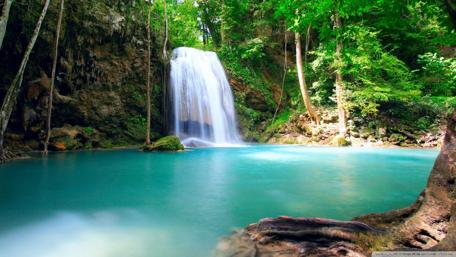 Serene Waterfall Amidst Lush Greenery wallpaper