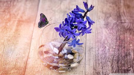 Vibrant Butterfly and Purple Flowers Arrangement wallpaper