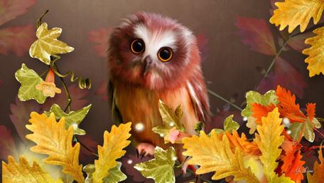 Autumn Owl Charm wallpaper