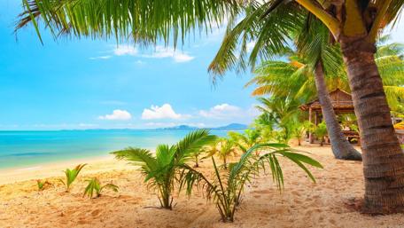Tropical Paradise Under Sunlit Skies wallpaper
