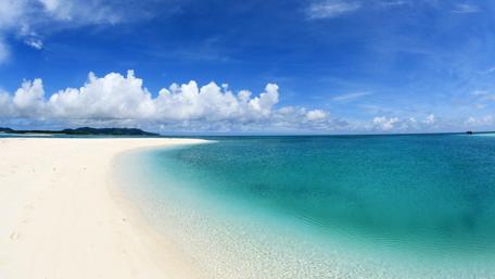 Serene Summer Beach Paradise wallpaper