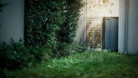 Serene Pathway Through Lush Greenery wallpaper