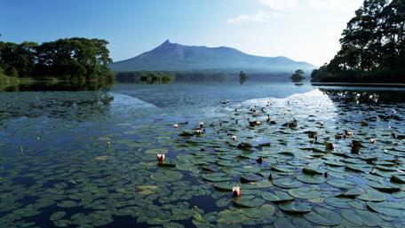 Tranquil Morning on the Lake wallpaper