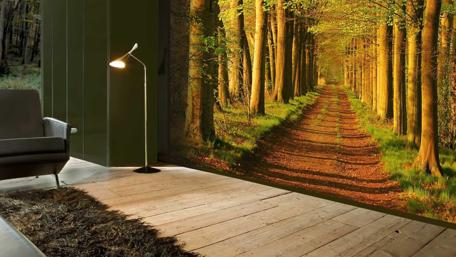 Serene Pathway Through a Lush Forest wallpaper