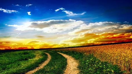 Serene Pathway Through Vibrant Landscape wallpaper