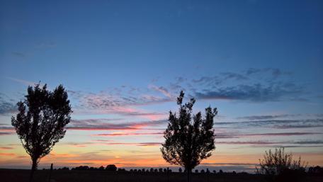 Serene Sunset Over Silhouetted Trees wallpaper