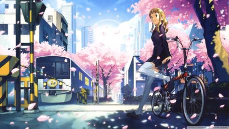 Springtime Journey in the City wallpaper