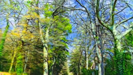 Vibrant Nature Through Artistic Brushstrokes wallpaper