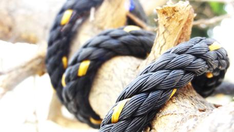 Vibrant Macro of Braided Rope on Wood wallpaper