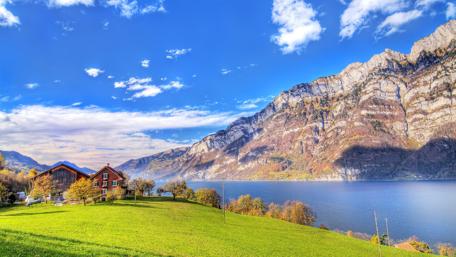 Summer Serenity by the Lake and Mountains wallpaper