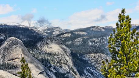Majestic Mountains and Pine Serenity wallpaper