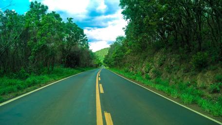 Nature's Pathway to Adventure wallpaper
