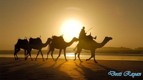 Desert Journey at Sunset wallpaper