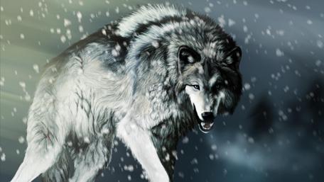 Majestic Wolf in Snowy Wilderness wallpaper