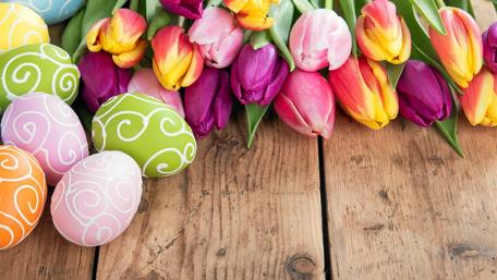 Colorful Easter Eggs and Tulips Arrangement wallpaper