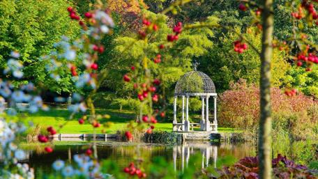 Tranquil Garden Retreat and Reflection wallpaper