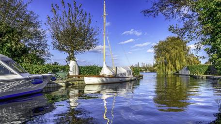 Serene Waterside Scene with Sailboat and Lush Trees wallpaper