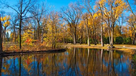 Autumn Serenity in Nature's Embrace wallpaper