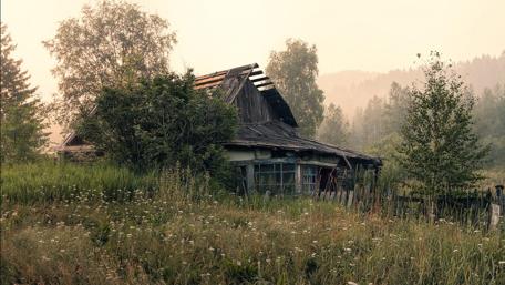 Serene Abandonment in Nature's Embrace wallpaper