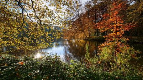 Autumn Reflections in Nature’s Calm Lake wallpaper