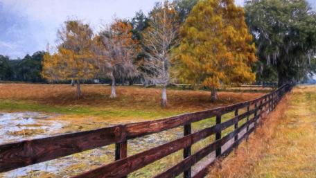 Serene Autumn Landscape with Vibrant Trees wallpaper